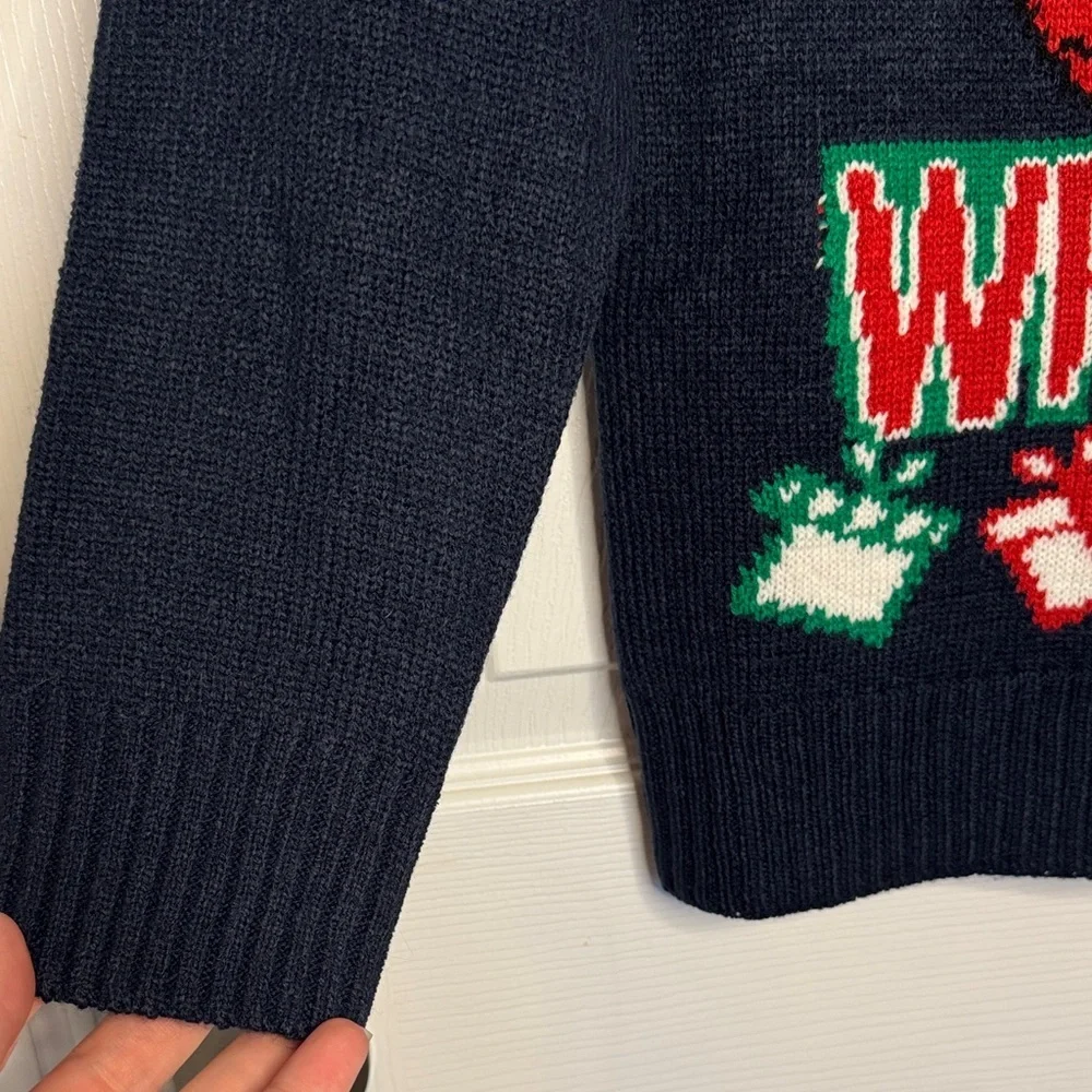 NWT Kids Dinosaur Holiday Sweater